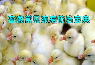 霉变饲料处理方法